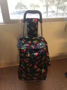 Cart for Groceries (with Wheels)