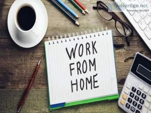 Work From Home USA unemployed students And Seniors