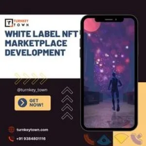 White label nft marketplace development solutions - a detailed c