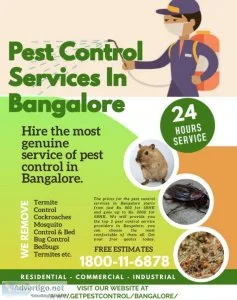 Hire the most genuine services of pest control in bangalore