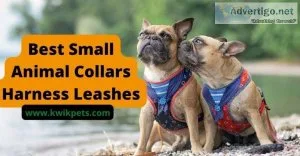 What factors should be considered while selecting small animal c