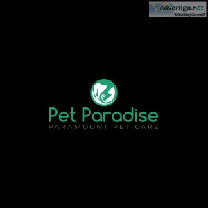 veterinary doctor in navi mumbai