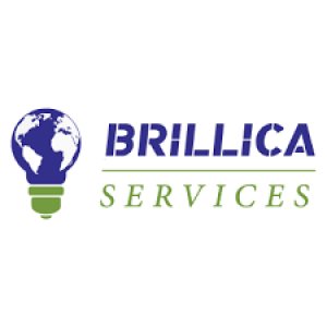 Brillica services - best machine learning course in uttarakhand