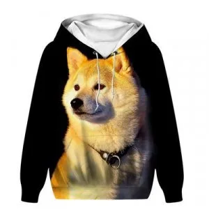 Dog Printed Sweatshirt Hoodies in Oklahoma at Reasonable Price