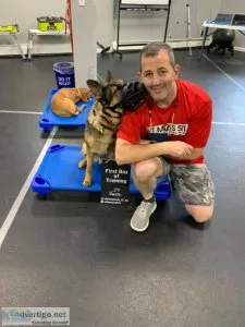 Sit means sit dog training of fairfield