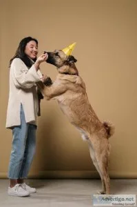 Unique Training For Dogs