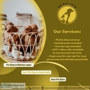 Best Pet Shop in South Delhi  Pet Shop in Malviya Nagar  Best Pe