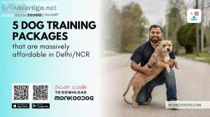 5 Massively Affordable Dog Training Packages in Delhi NCR