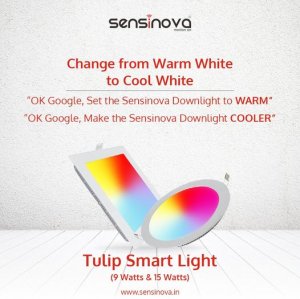 Buy smart motion sensor led light | sensinova