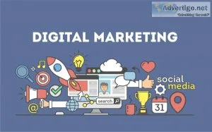 Digital marketing institute in noida