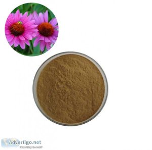Plant extract supplier
