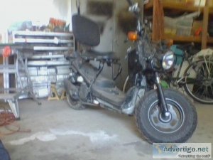 2008 honda ruckus