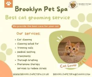 Do you know the Best Cat Grooming near me in New York