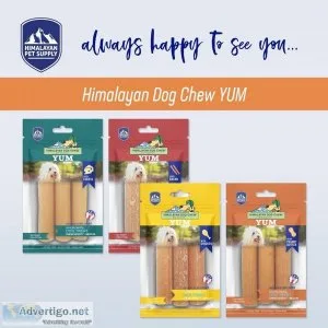 Long-lasting Dog Chew Cure Your Puppies Boredom