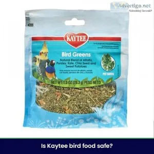 What type of treats should be fed to birds