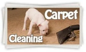 Steam Carpet Cleaning Houston TX
