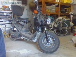 2008 honda ruckus