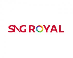 Imported wallpaper wholesaler in delhi ? sng royal