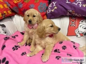 Chunky Boys and Girls