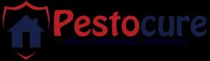 Termite control service in hyderabad