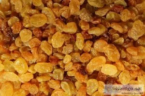 Are sultanas healthy to eat every day?