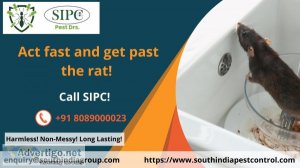 Rodent control in goa