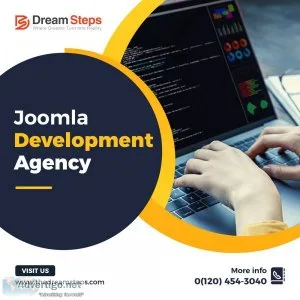 Joomla customization service