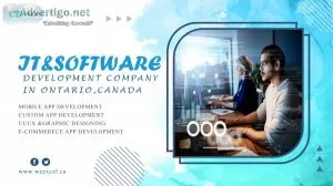 Weexcel is it &software development company in ontario, canada