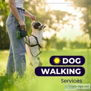 Dog Walking in Faridabad For Reasonable Price - Monkoodog