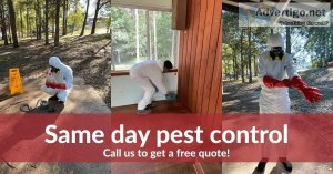 Get expert for pest control melbourne | true pest control