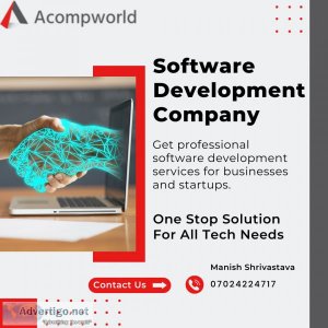 Professional software development services