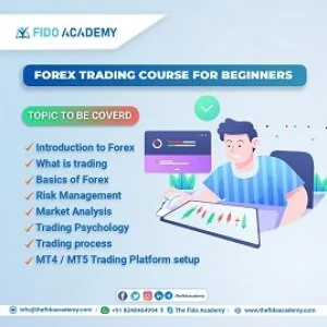 Courses in forex trading
