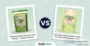 Is Catnip Safe For Cats
