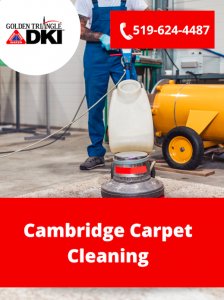 Cambridge Carpet Cleaning