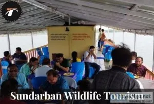 Sundfarban package tour from kolkata
