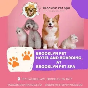 Need a pet hotel in Brooklyn