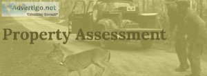Visit Westervelt Wildlife Services Deer Property Management In A