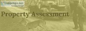 Visit Westervelt Wildlife Services Deer Property Management In A
