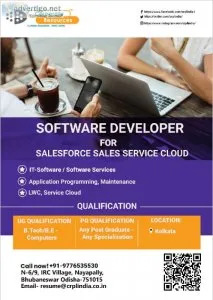 Software Developer for Salesforce Sales Service Cloud