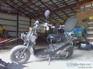 2008 Honda Ruckus