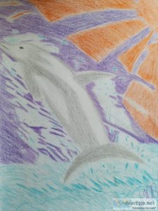 Dolphin Kind of Morning