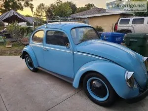 1964 vw beetle