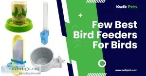 Which Is The Best Bird Feeder