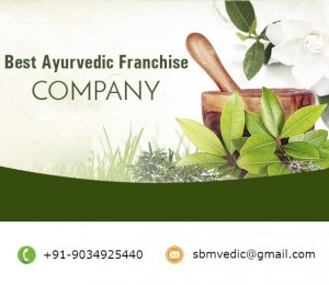 Best ayurvedic medicine franchise company