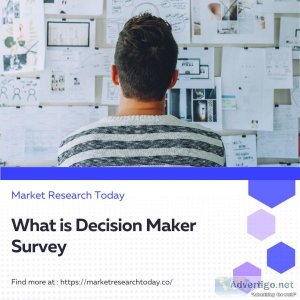 What is decision maker survey