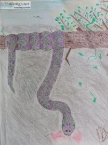 Hanging  Reptile