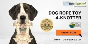 Buy Toe-Beans Deshedding Brush for a Comfortable Brushing Experi