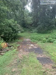 909 Alma Avenue Kanappolis NC