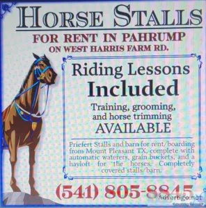 Horse boarding indoor/outdoor