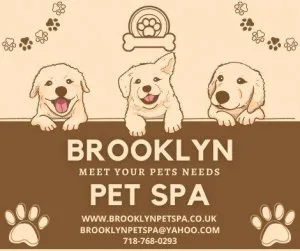 Are you searching for Dog Grooming Service in Brooklyn
